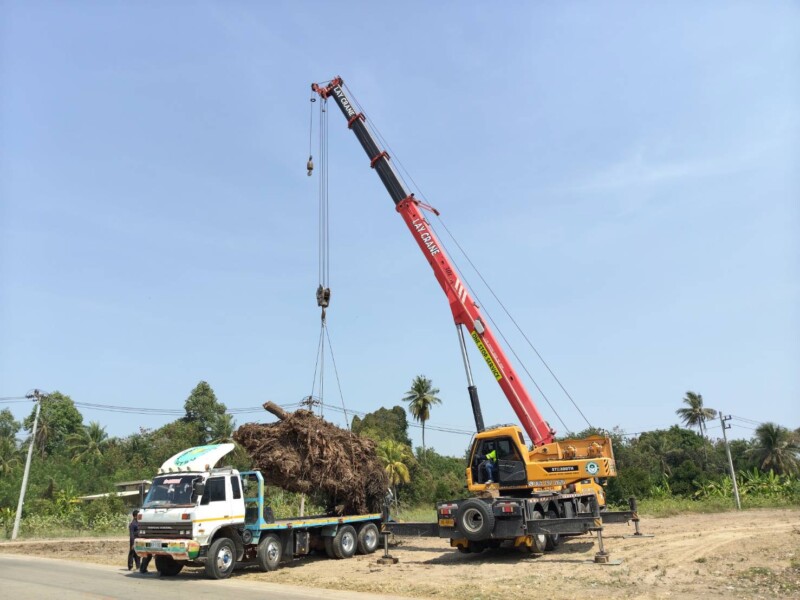 รถยกทัพทัน